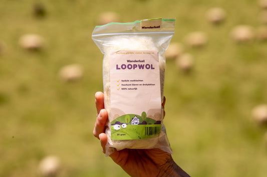 Wanderlust Loopwol 20 gram